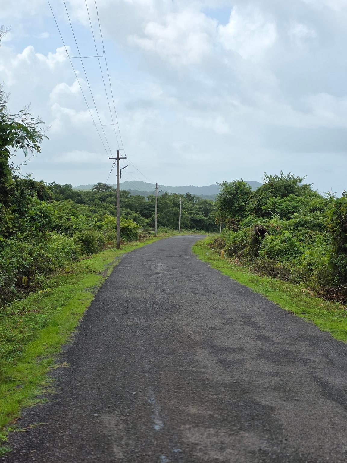 Quiet empty country road winding through lush green Goan monsoon foliage